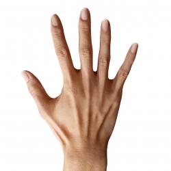 Ishikawa Sayoko Retopo Hand Scan